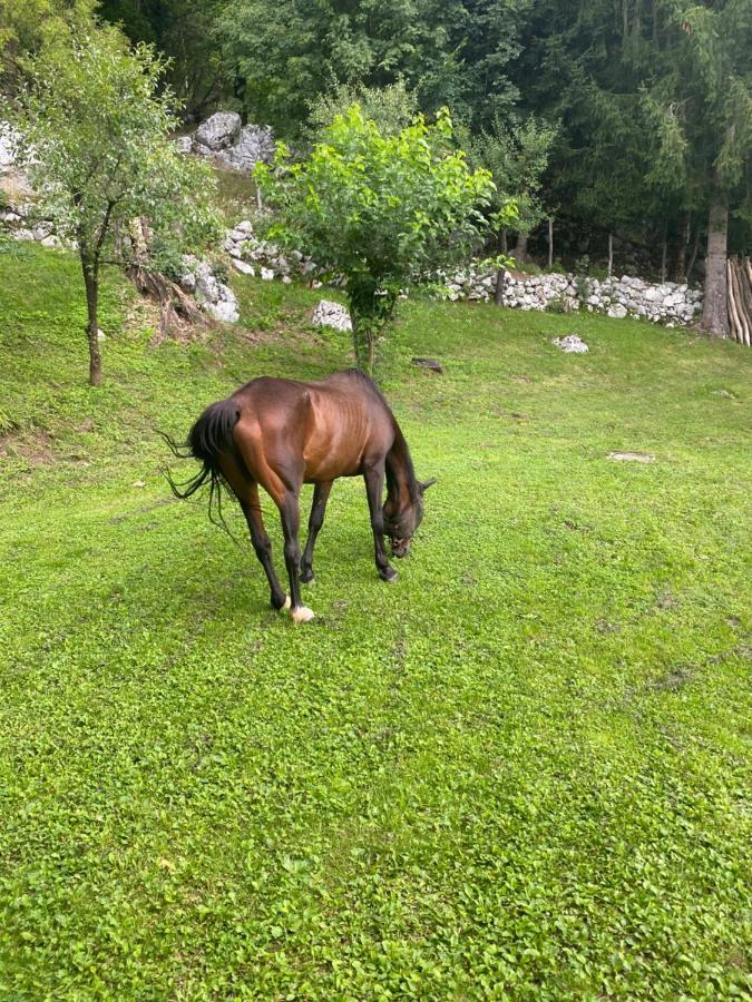 Posestvo Tmzek Villa Бовец Екстериор снимка